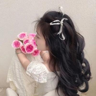 后续卢宫秘史